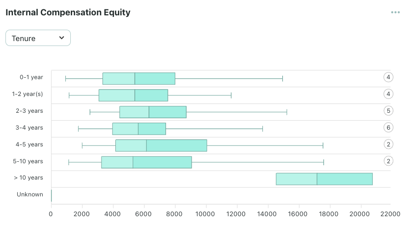 internal compensation equity metric in orgnostic people analytics platform
